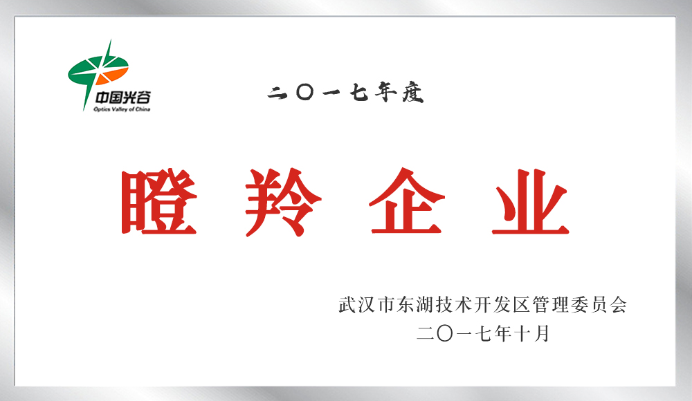 瞪羚企业（2013-2017）